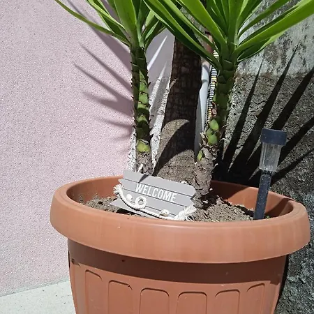 Stegia Casa vacanze *